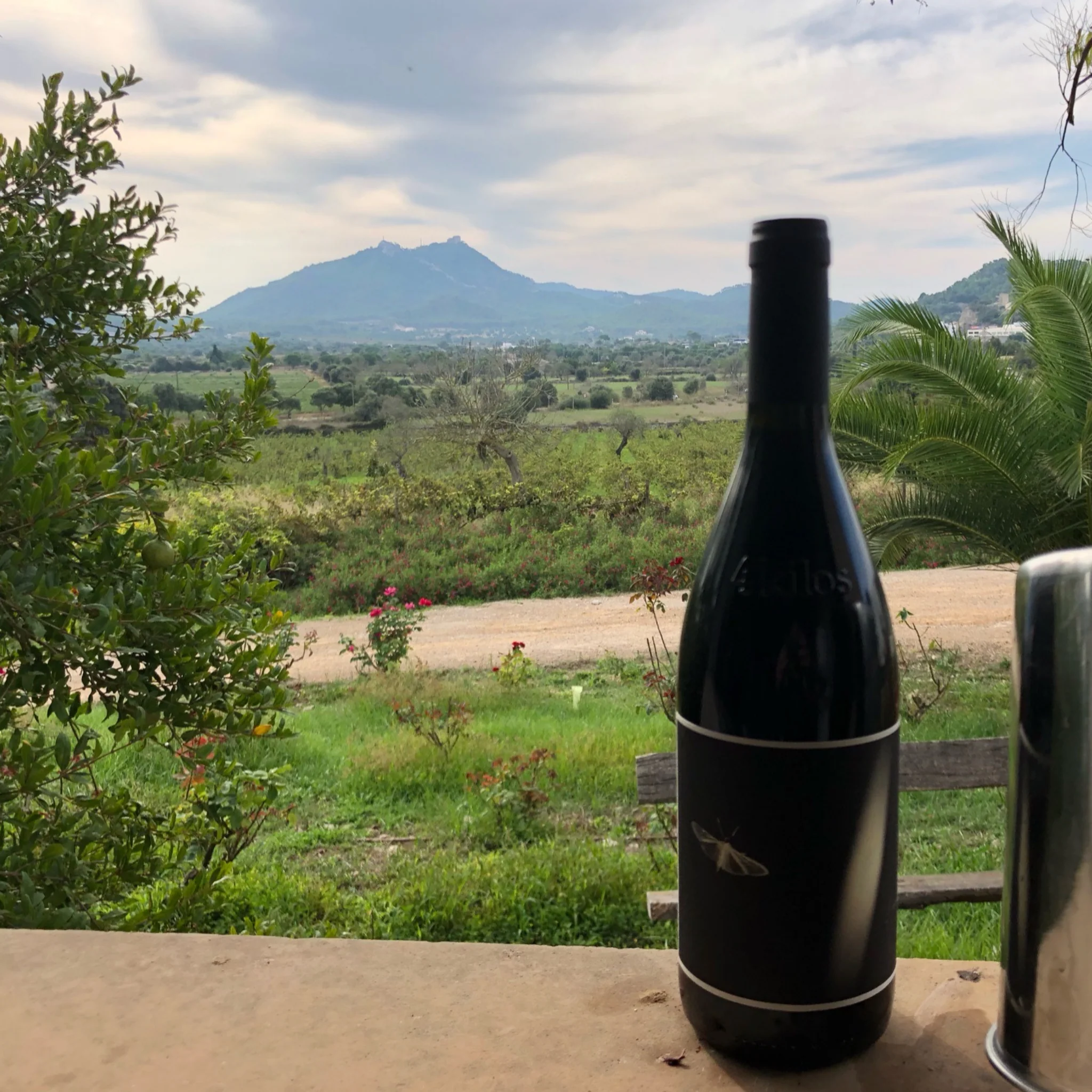 4Kilos Vinícola – Mallorca